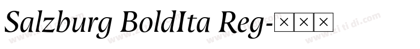 Salzburg BoldIta Reg字体转换 Salzburg BoldIta Reg字体转换
